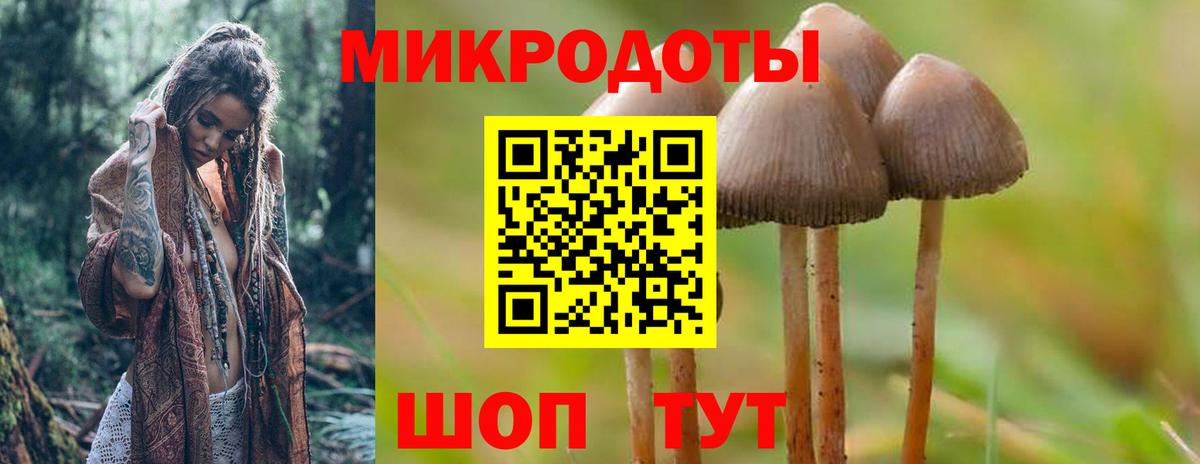 Галлюциногенные грибы Psilocybine cubensis Екатеринбург